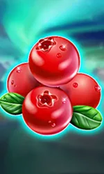 Winterberries
